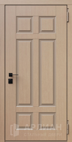 Фото «Наружная дверь с филенкой и надежной конструкцией №12»